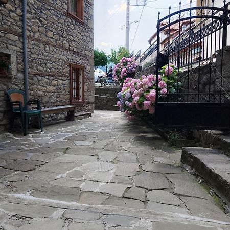 Arka Metsovo Exterior foto