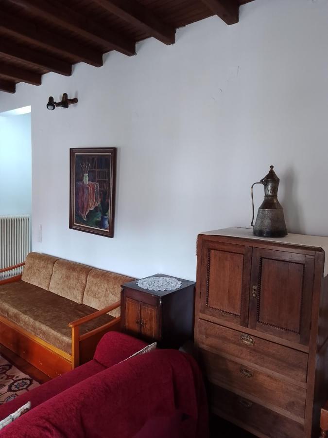 Arka Metsovo Exterior foto