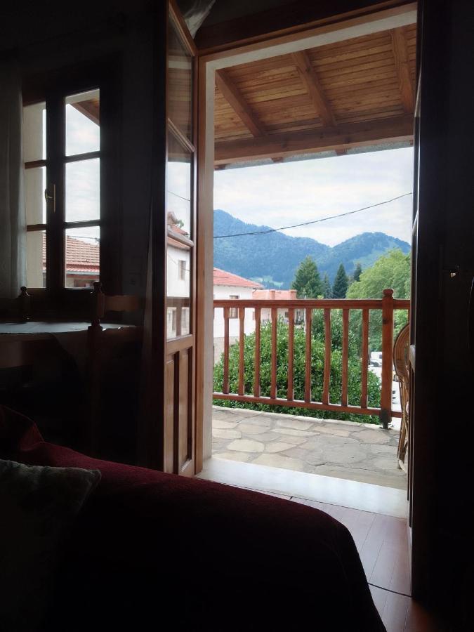 Arka Metsovo Exterior foto