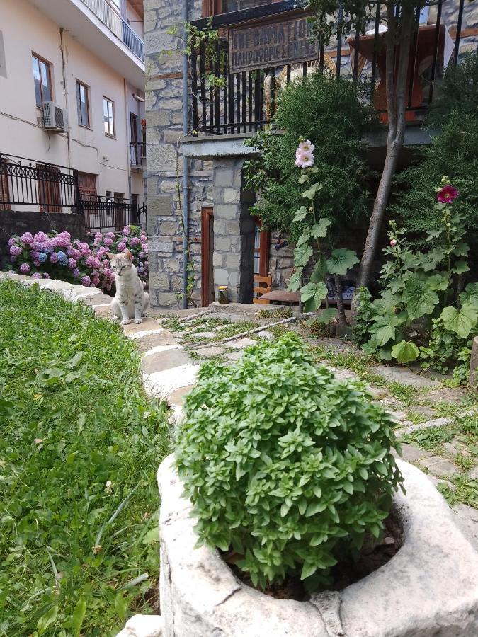 Arka Metsovo Exterior foto