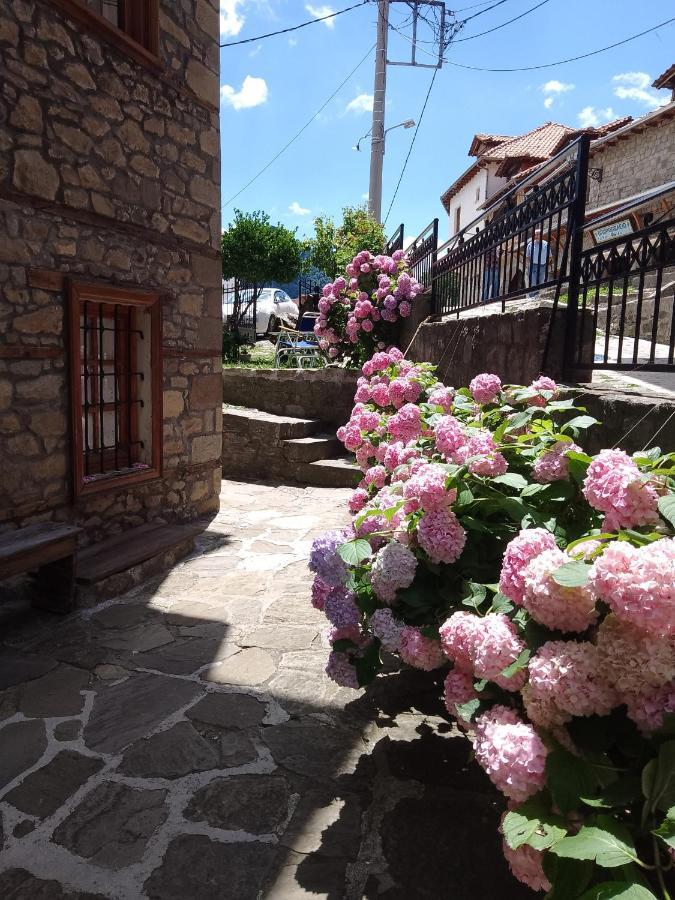 Arka Metsovo Exterior foto