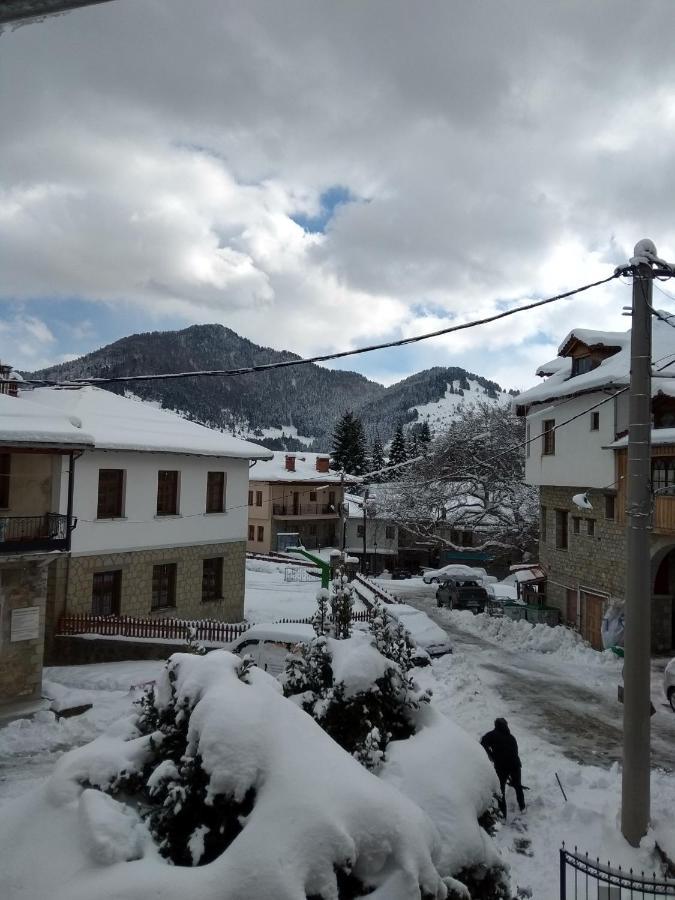 Arka Metsovo Exterior foto