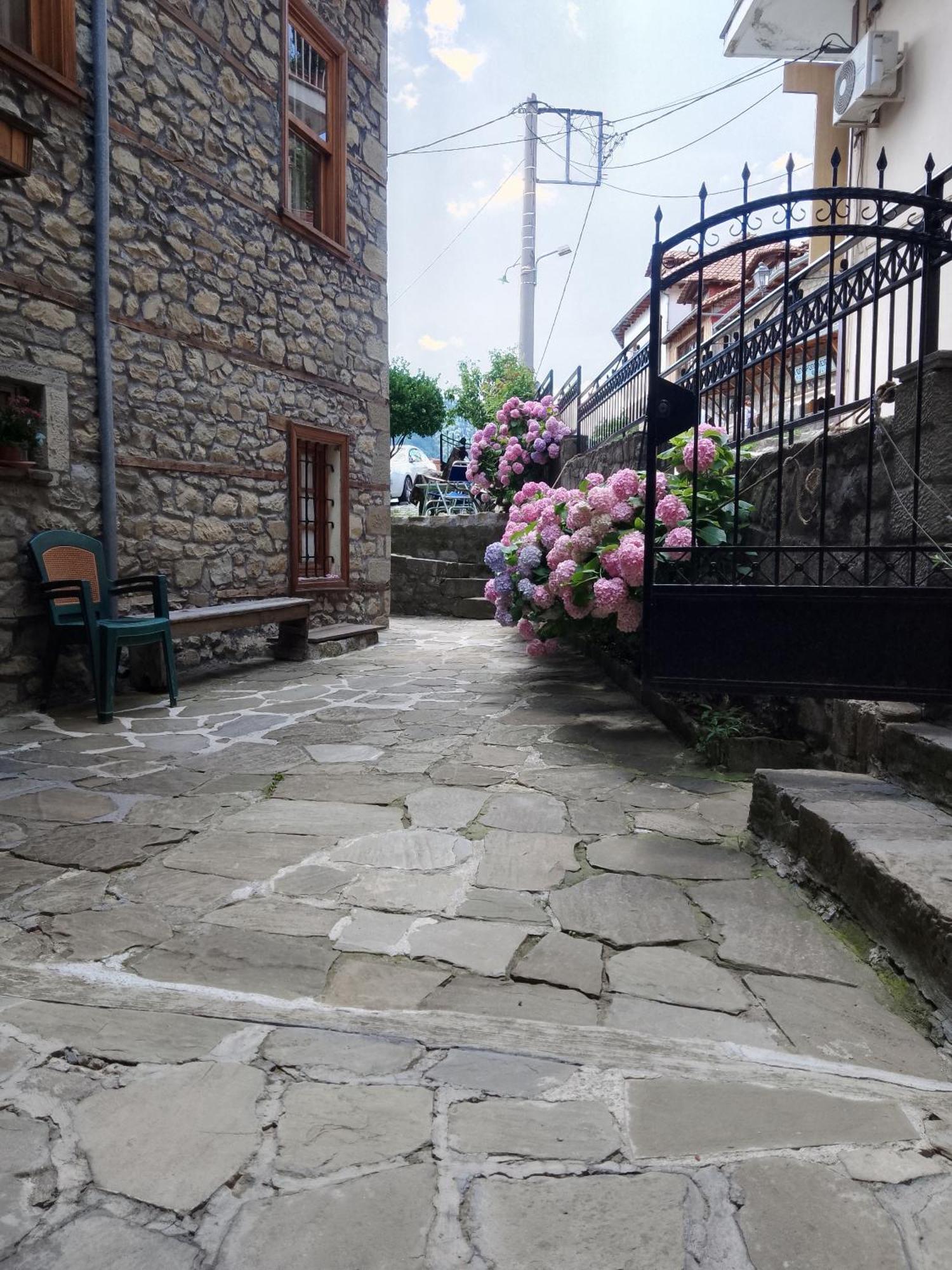 Arka Metsovo Exterior foto